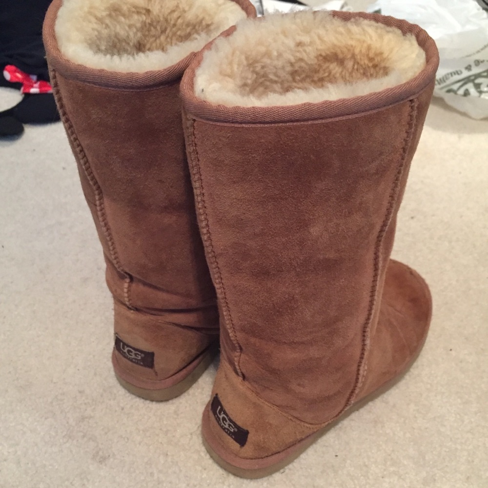 Tall chestnut uggs